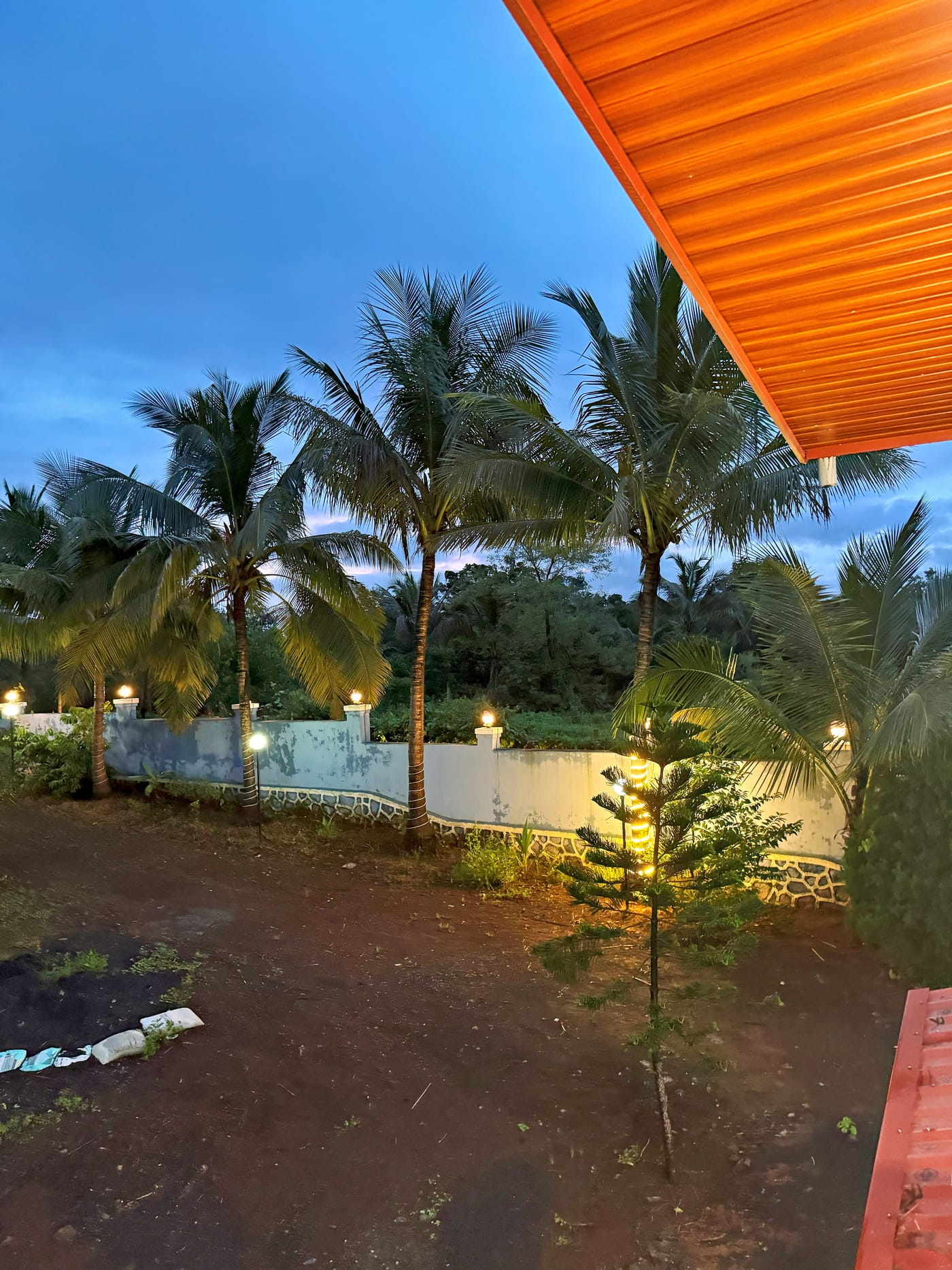 Garden and pathway