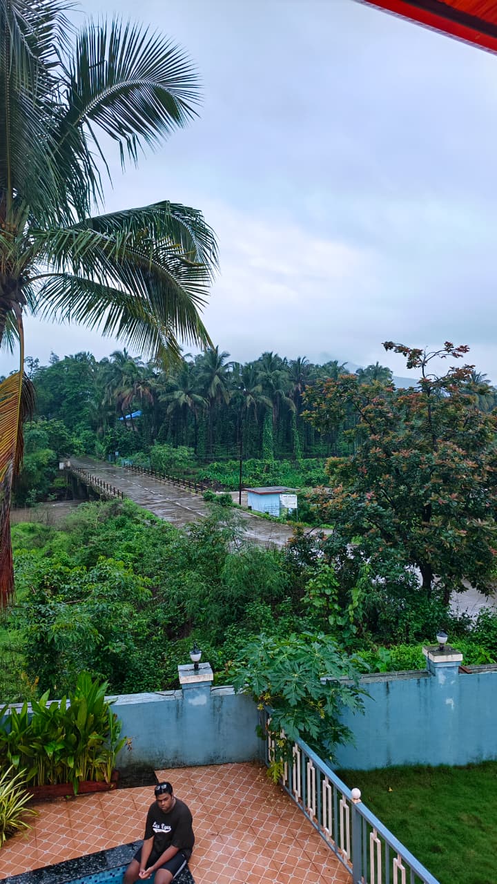 View from the villa — lush greenery